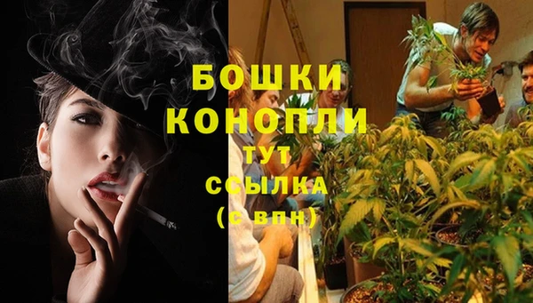эйфоретик Белоозёрский